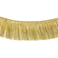 HEMA Slinger 3m Franjes Goud (goud)
