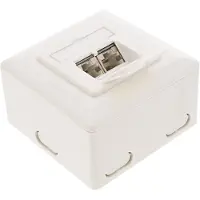 InLine Cat.6 aansluitdoos, AP/UP 2x RJ45 female, RAL9010, wit, verticaal