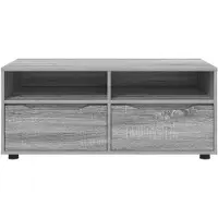 vidaXL TV Kast 100 x 48 x 43 cm Grijs Sonoma Bewerkt hout