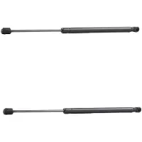 RIDEX 219G3150 Gasveer achterklep