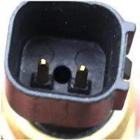 Typecat Stuurbekrachtigingspomp Oliedrukschakelaar Sensor 98AB-3N824-DB 1076647 330812 voor Focus