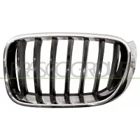 PRASCO BM8062004 Radiator grill
