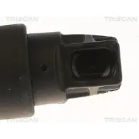 TRISCAN 8710 11363 Gasveer achterklep