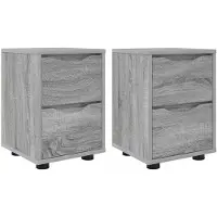vidaXL Nachttafels 2 st Grijs Sonoma 30.5 x 30 x 43 cm Bewerkt hout