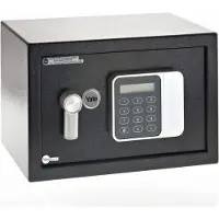Yale Safe - YSG/250/DB2