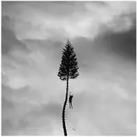 Universal Music A Black Mile to the Surface (LP)