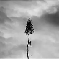 Universal Music Manchester Orchestra - A Black Mile To The Surface (CD)