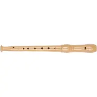 Goki Muziek - Blokfluit C-Sopraan - L32Cm - Met Veger - 5 Jaar