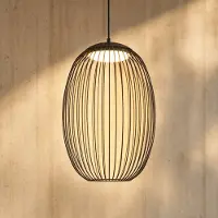 LUCANDE LED buiten hanglamp Richi, zwart, Ø 35 cm, dimbaar, zwart, metaal, Modern