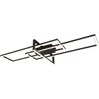 TRIO 620310332 Plafondlamp Salinas Zwart