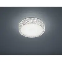 TRIO REALITY PEGASUS - Plafondlamp - Wit - incl. 1x SMD 12 W - Patroon bescherming