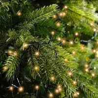 Lumineo kerstverlichting LED Compact Lights 60m, classic warm