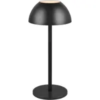 RL LIVE YOUR LIGHT REALITY RICARDO - Tafellamp - Zwart mat - incl. 1x SMD 1,7 W - 4-stappen TOUCH - USB-aansluiting - Verlichting omhoog en omlaag - Accuvoeding - Buitenverlichting - IP54