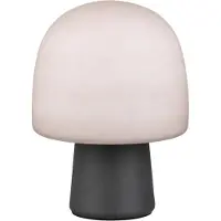 TRIO LED Tafellamp | Steen | Rond | Zwart | IP20 | Lighting