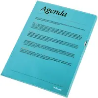Esselte Standaard Zichtmap A4 - 0,11mm PP Folie - 100 Stuks - Blauw