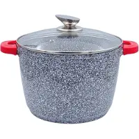 ROYAL SWISS Soeppan & Braadpan – Ø 28 cm / 10L – Inductie Geschikt – Met Afneembare Handvatten – Duurzame en Veelzijdige RVS Pan – Grijs