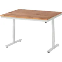 RAU werktafel Adlatus, elektrisch in hoogte verstelbaar, 25 mm geolied massief houten blad, tot 150 kg, B 1250 x D 1000 x H 720-1120 mm, beuken/lichtgrijs