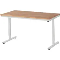 RAU werktafel Adlatus, elektrisch in hoogte verstelbaar, 25 mm geolied massief houten blad, tot 150 kg, B 1500 x D 800 x H 720-1120 mm, beuken/lichtgrijs