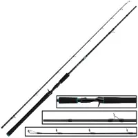 Salmo Trollmaster Baitcasting Rod Zwart 2.40 m / 40-60 g