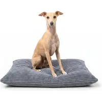 4L Textil Molly Hondenbed, hondenkussen, grote honden, corduroy 120 x 100 cm, afneembare overtrek, met ritssluiting, machinewasbaar, robuust, met overtrek - grijs