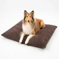 4L Textil Molly Hondenbed, hondenkussen, grote honden, corduroy 120 x 100 cm, afneembare overtrek, met ritssluiting, machinewasbaar, robuust, met overtrek - Bruin