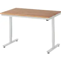RAU werktafel Adlatus, elektrisch in hoogte verstelbaar, 25 mm geolied massief houten blad, tot 150 kg, B 1250 x D 800 x H 720-1120 mm, beuken/lichtgrijs