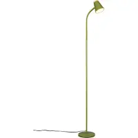 RL LIVE YOUR LIGHT REALITY PONGO - Vloerlamp - Groen - incl. 1x SMD 4,5 W - Flexibel - LED-printplaat met hoog voltage - Niet dimbaar
