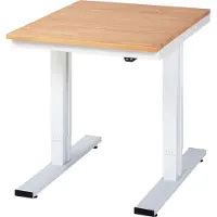 RAU Werktafel serie adlatus 300, massief beuken blad, B 750 x D 1000 x H 720-1120 mm