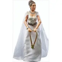 Hasbro Star Wars Kenner Prinses Leia Organa (Yavin 4) Figur RS270220