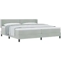 vidaXL Boxspring bed met hoofdeinde Lichtgrijs 200 x 200 cm Fluweel