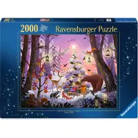 Ravensburger Christmas Fantasy 2000p (12001417) Puzzle Veelkleurig Kinderen