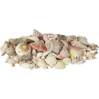 Relaxdays Decoratieset met schelpen, mix van grote zeeschelpen, coquilles, stranddecoratie voor knutselwerk, maritiem thema, 1 kg, kleurrijk