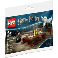 LEGO bouwset Harry Potter Harry en Hedwiga przesyłka