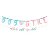 Amscan 2 Letterslingers Gender Reveal 'Boy Or Girl'