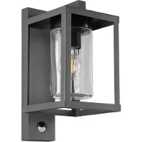 TRIO Buitenlamp Lunga wand met bewegingssensor
