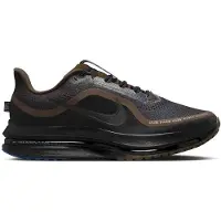 Nike Pegasus Premium hardloopschoenen voor heren (straat) - Zwart | Maat