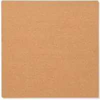 HEMA Prikbord 35x35cm basis