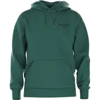 Björn Borg Hoodie Men Borg Essential 1 Posy Green-L