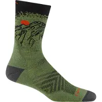 Darn Tough 1066 Vert Micro Crew Cushion Heren