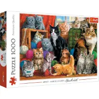 Trefl 10555 Puzzel: Katten - 1000 stukjes