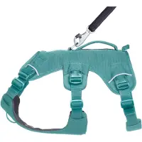 Ruffwear Webmaster Harness