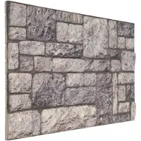 vidaXL Wandpanelen 10 st 100 x 50 cm Grijs en wit EPS-schuim