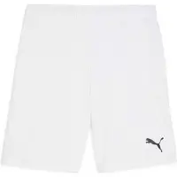 Puma TeamGOAL Short Heren S