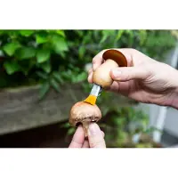 Kikkerland MUSHROOM TOOL KEYCHAIN