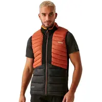 Regatta Mouwloos donsjack Leedre | Maat S
