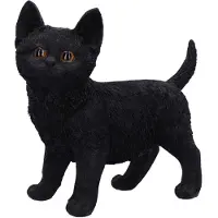 Nemesis Now - Gothic Decoratieve Artikelen - Charmed Companion - voor Geen - standaard | Maat Standard