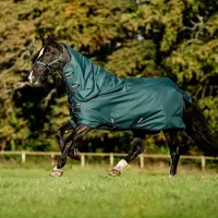 Horseware Ripstop 900D Plus Turnout 100g Dynasty Groen/Marineblauw & Zilver 160