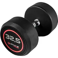 Olive Rubber Pro-style 32.5kg Dumbbell Zilver 32.5 kg