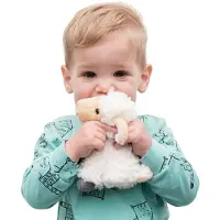 Willberry Toys Knuffel lammetje |