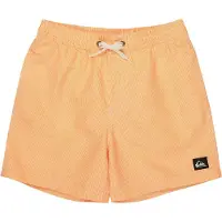 Quiksilver Everyday Deluxe Volley 14´´ Zwembroek